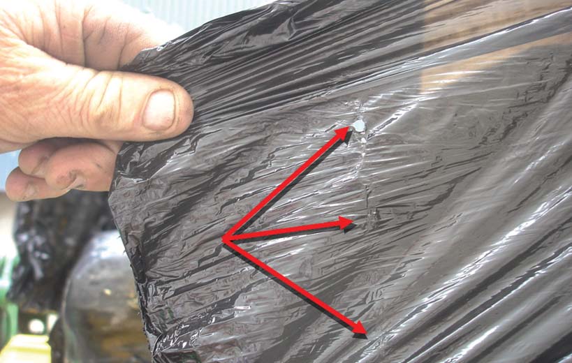 Stop and look a little closer Pic