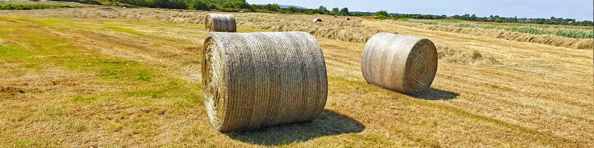 Banner TamaNet ETE Royal Netwrap bales