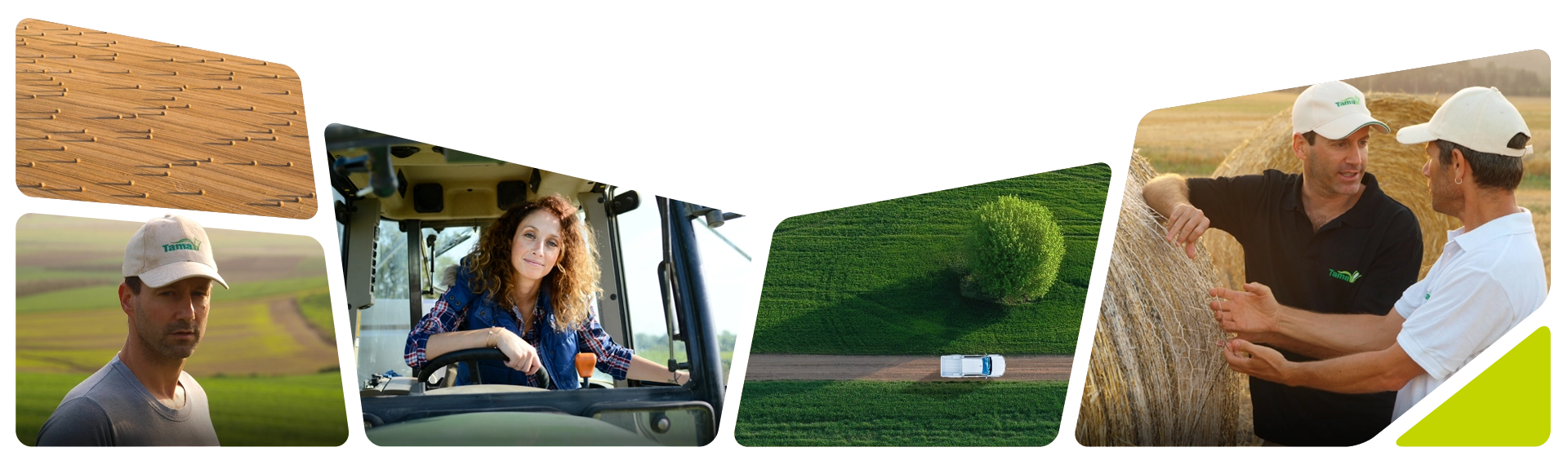 Collage of photos for Homepage